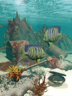 Paka 4 - Aquarium_2.gif