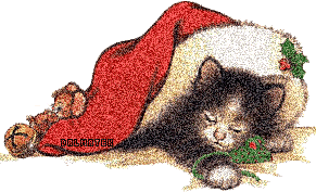 gify-rozne swiateczne - kotek spi wczapie.gif