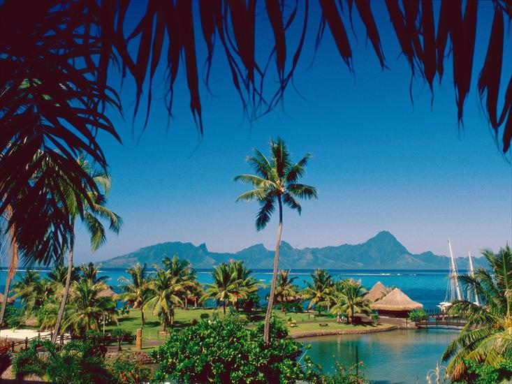 Tropiki - Moorea Island, Tahiti.jpg