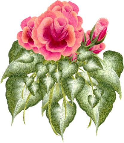 bukiety kwiatów - Roze_17.gif