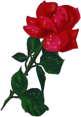 Róże - 12.gif