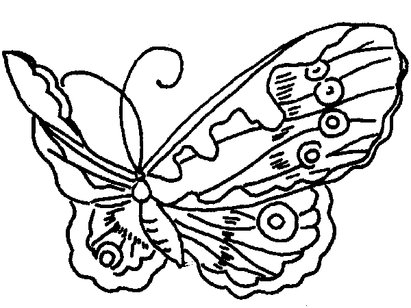 Motyle - schmetter08.gif