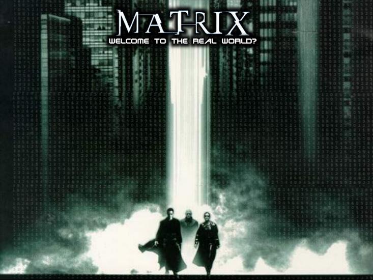 Filmy i Seriale - Matrix 11.jpg