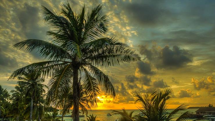 1. TAPETY NA PULPIT  176 - maldives_palms_trees_shadow_sea_ocean_beach_hdr_95819_1920x1080.jpg