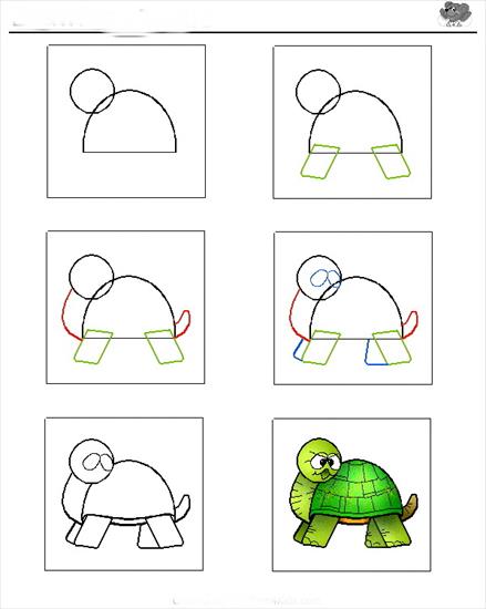 NAUKA RYSUNKU - żółw.jpg