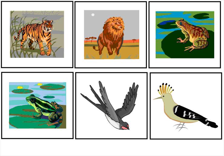 Obrazki do klasyfikowania - zwierzęta VI.PNG