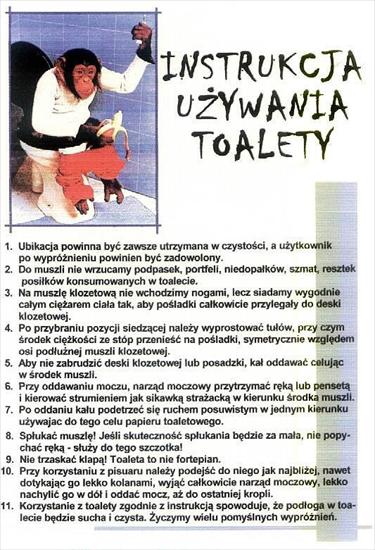 Dyplomy - uzywanie_toalety.jpg