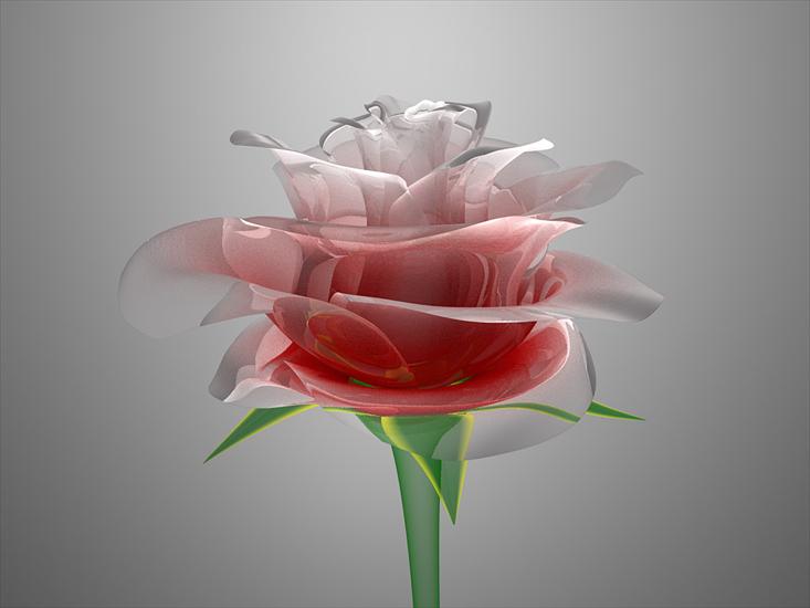   kwiaty - roża szklana.jpg
