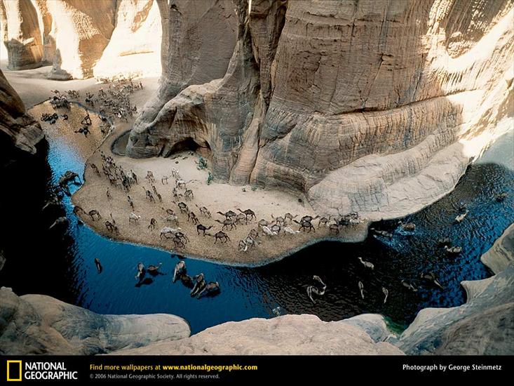 National Geographic Wallpapers - 94.jpg