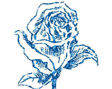kwiaty - bluerose.gif